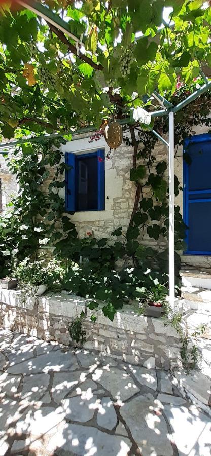 Petrinο Katochori Apartment Katokhorion  Exterior photo